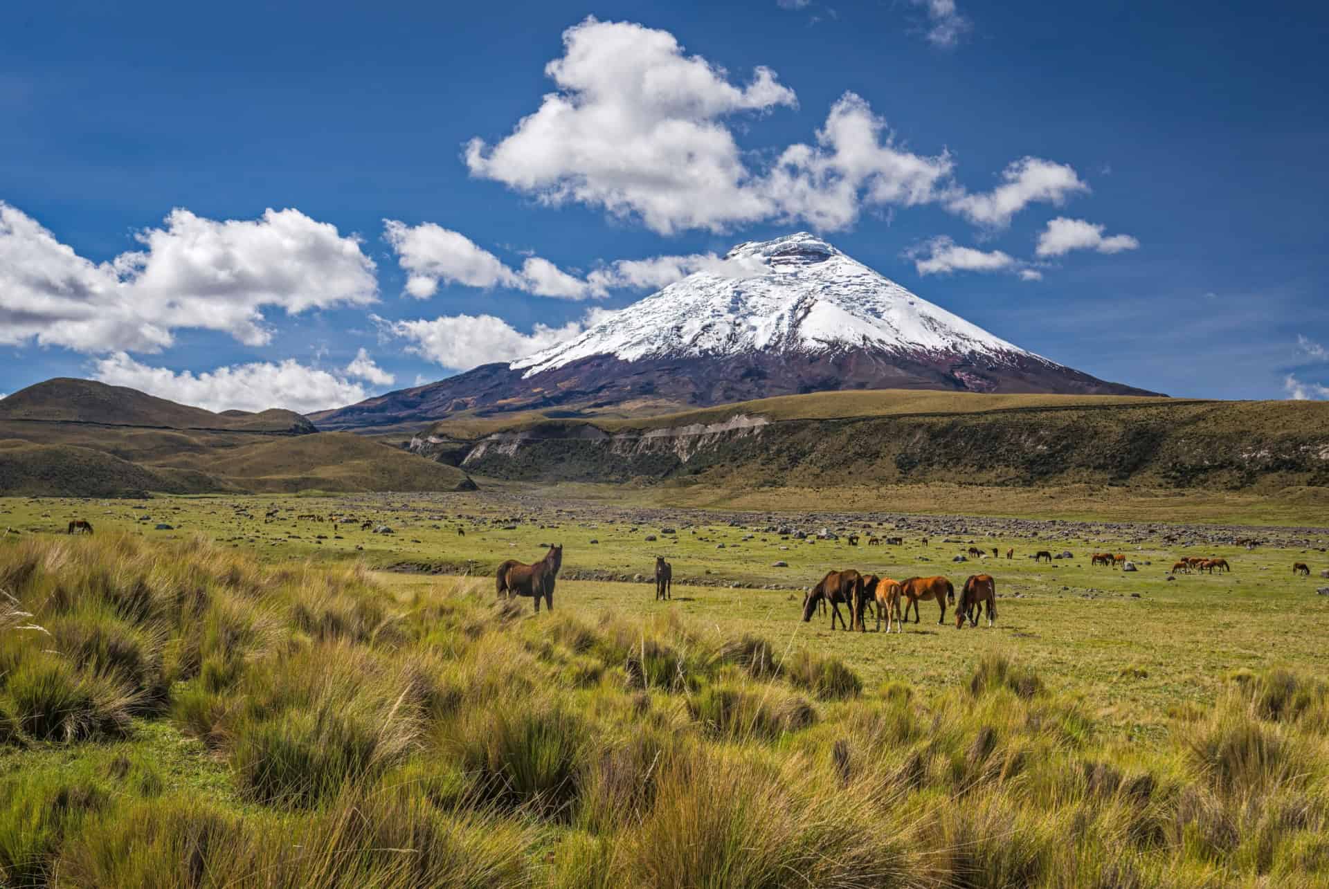 paysage equateur amerique du sud