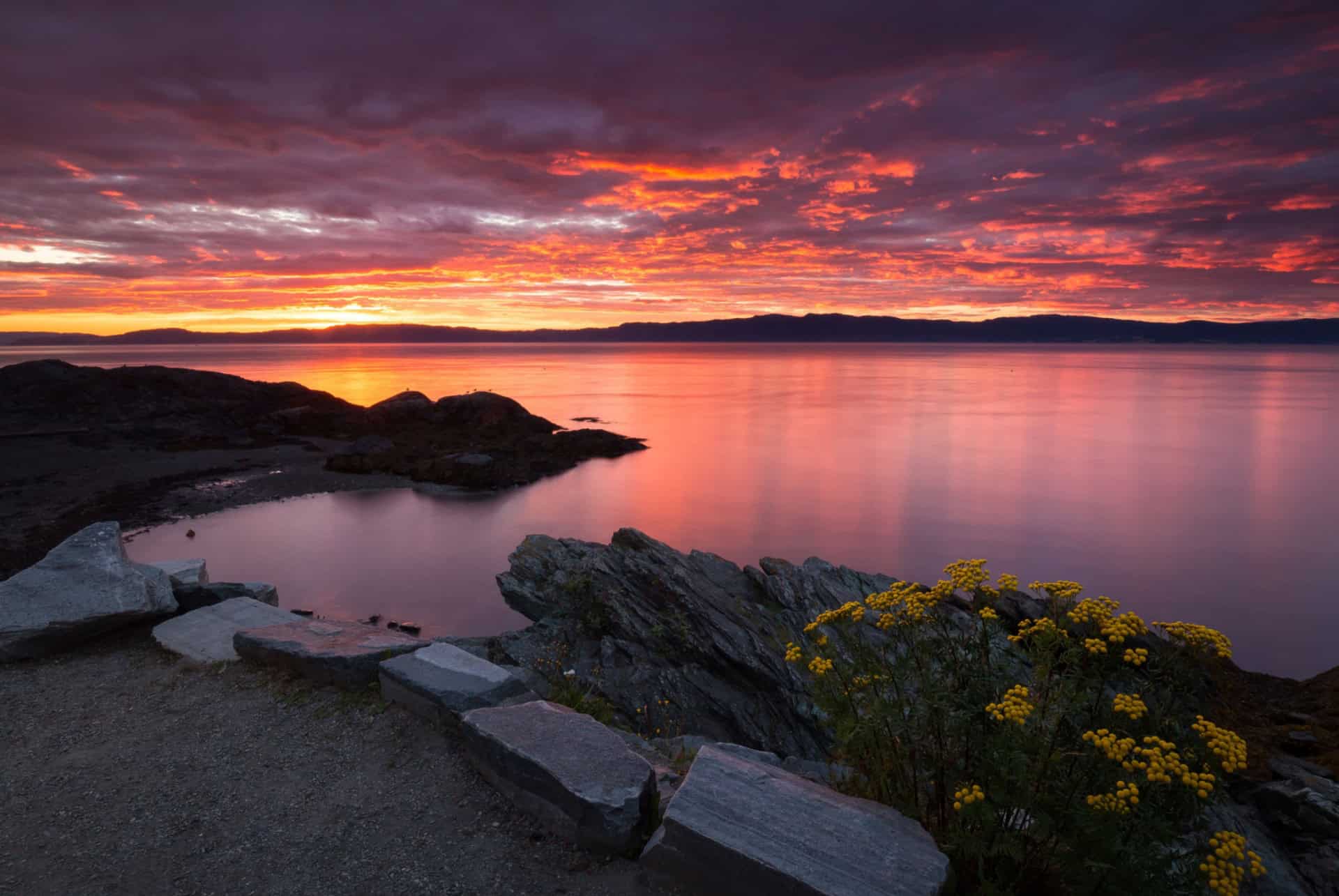 plage trondheim fjord