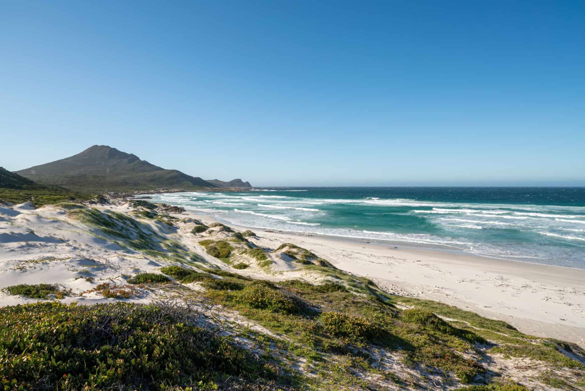 platboom beach plus belles plages afrique du sud