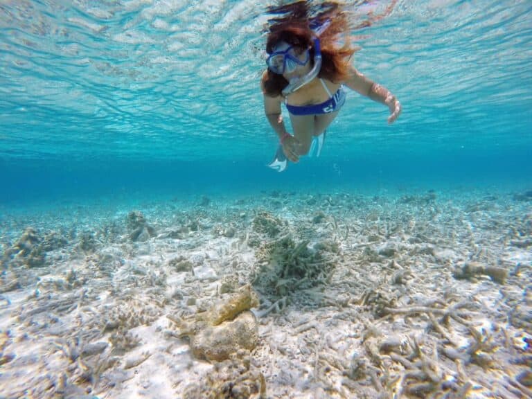 Hulhumale : Visite d'une jounée en bateau et plongée avec masque et tuba