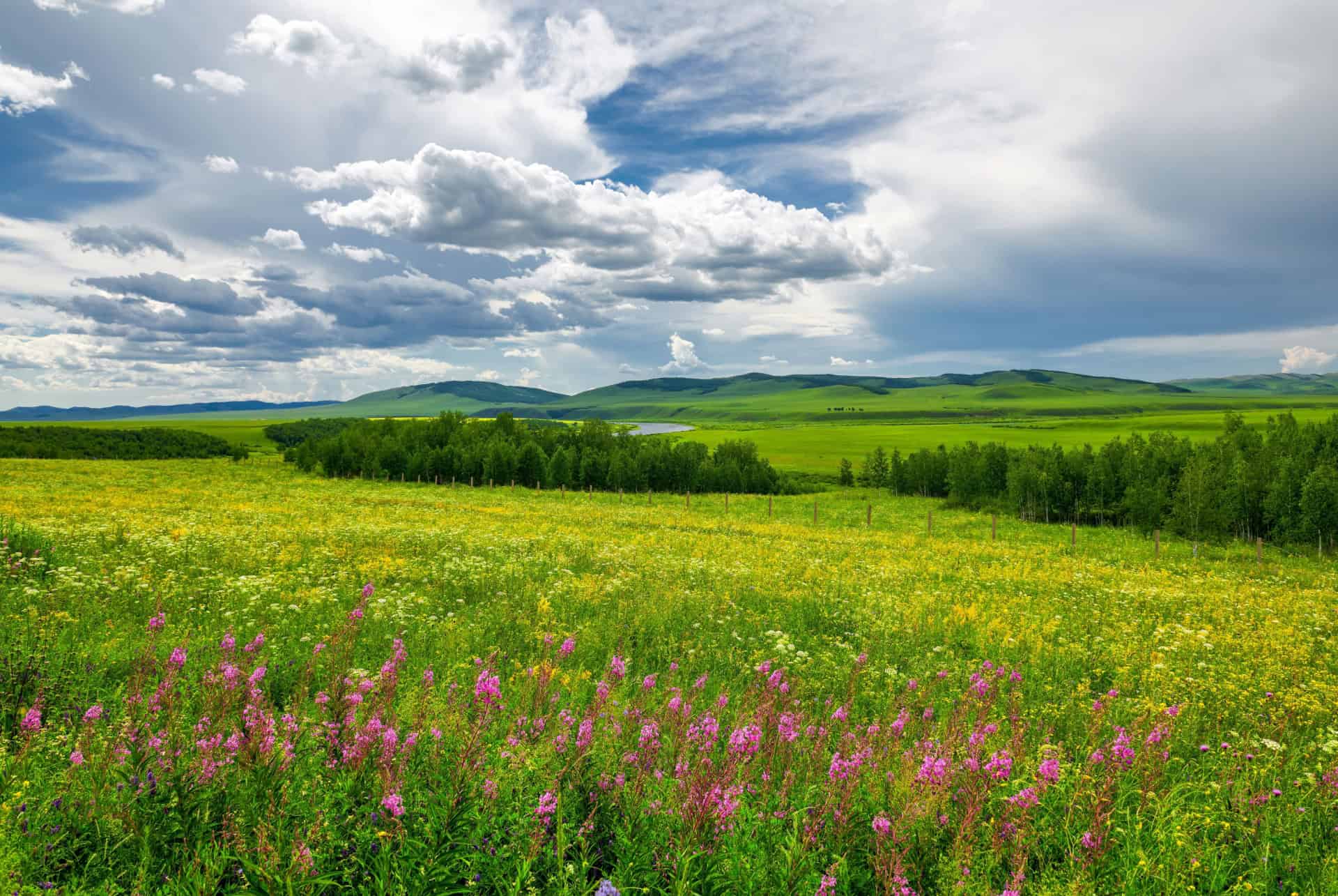 printemps mongolie