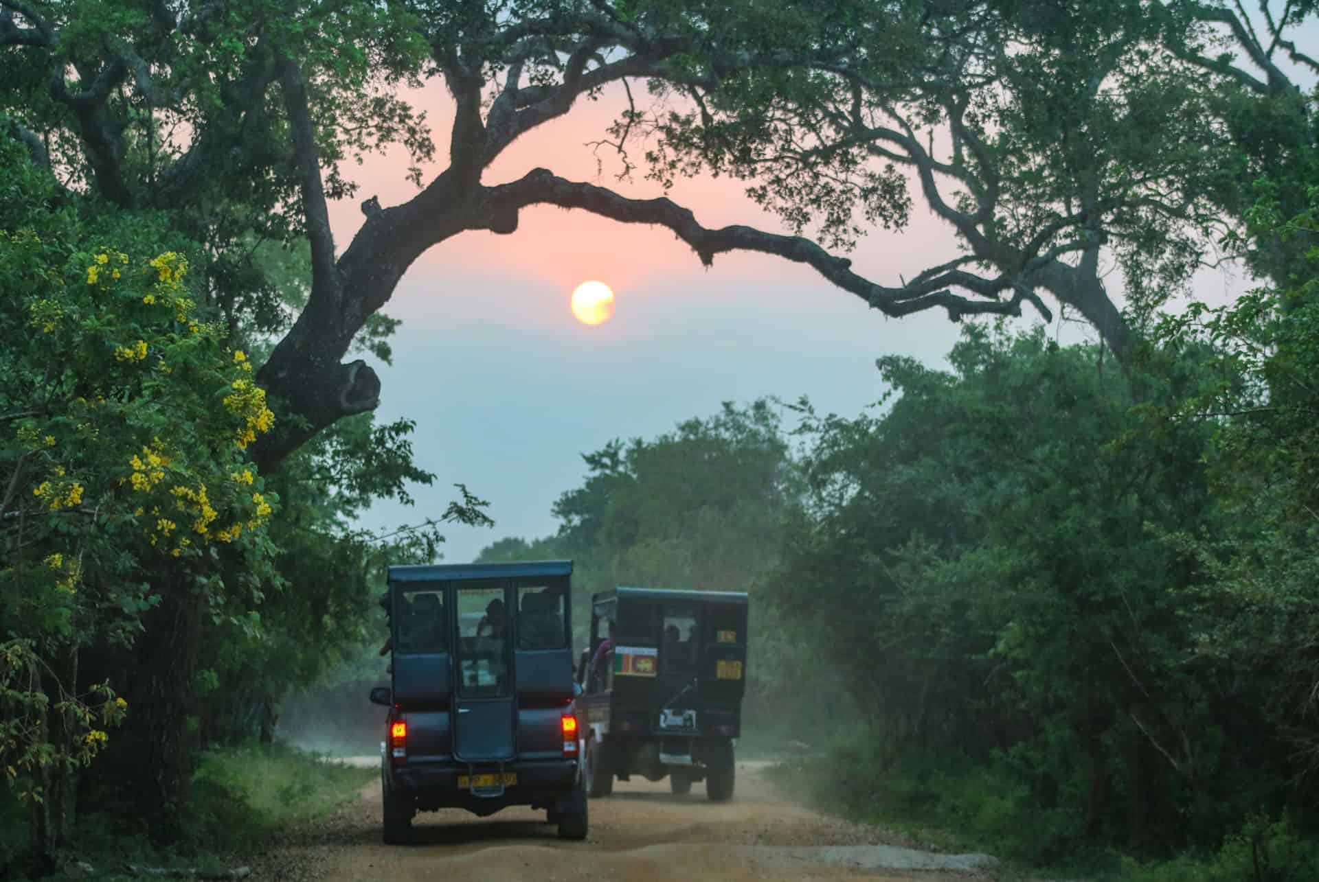 safari yala road trip sri lanka