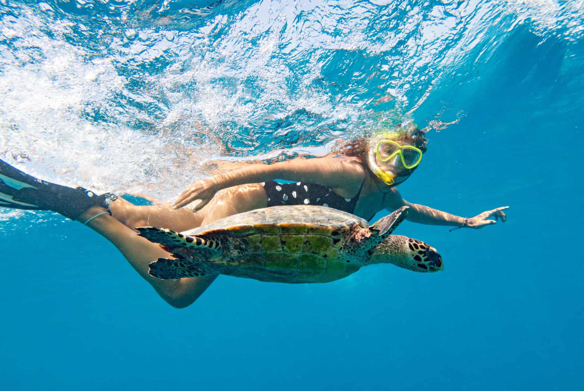 tortues maldives