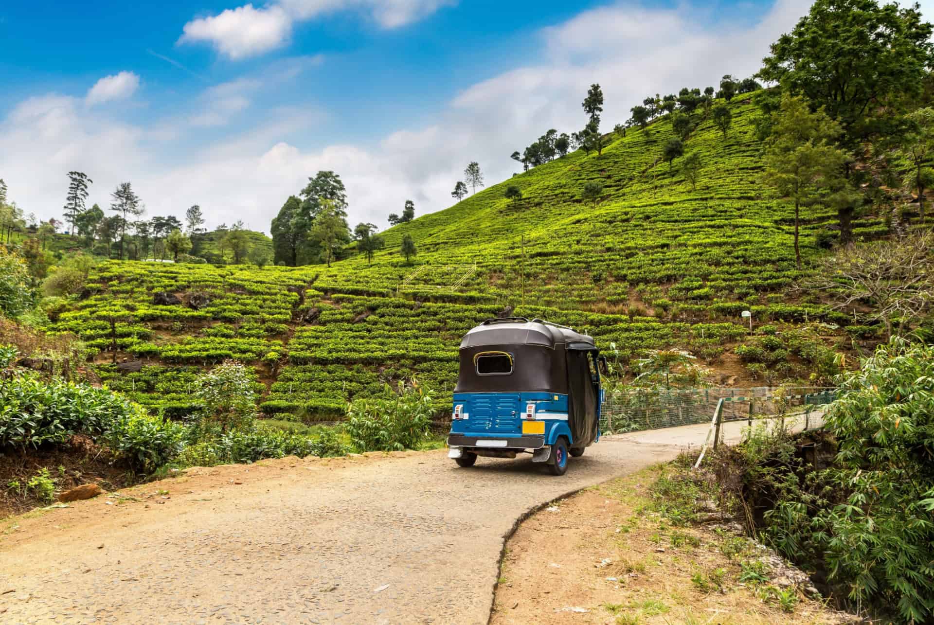 tuk tuk nurawa eliya