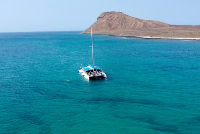 Croisière en catamaran d'une demi-journée en formule tout compris