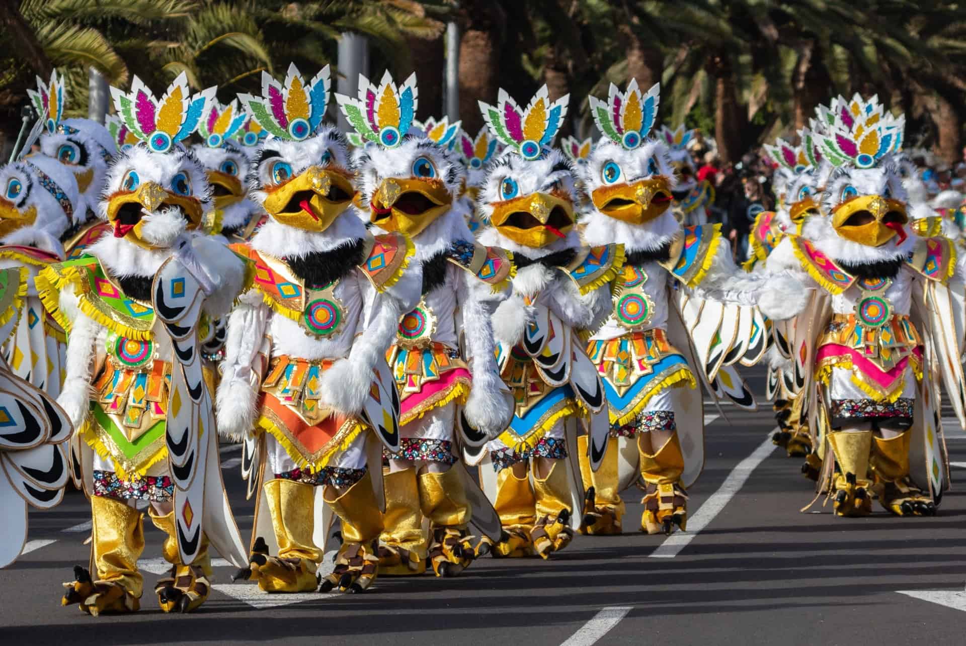 deguissements carnaval tenerife