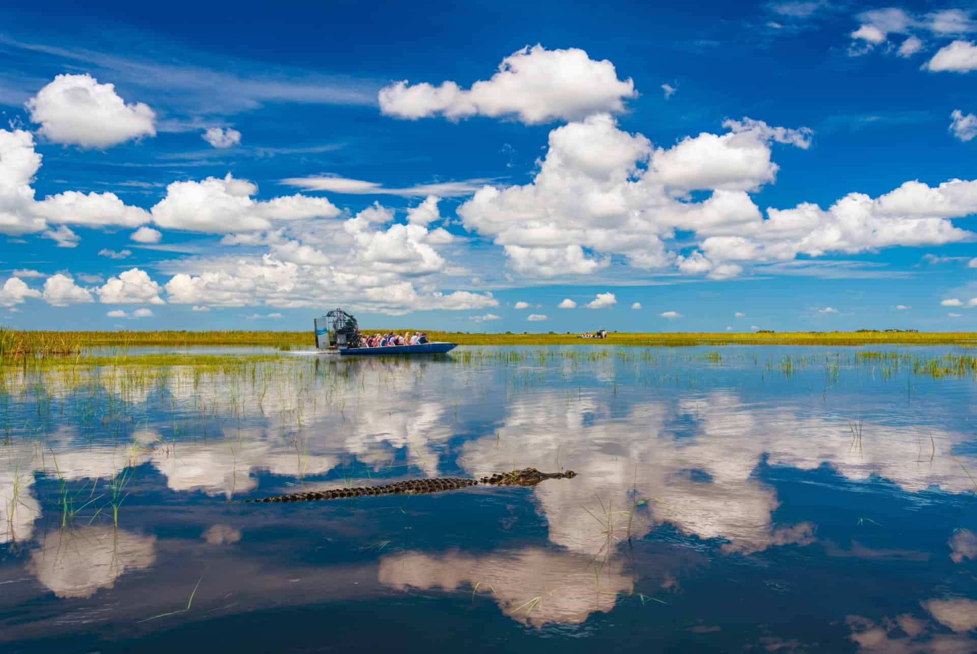 miami en octobre parc national everglades