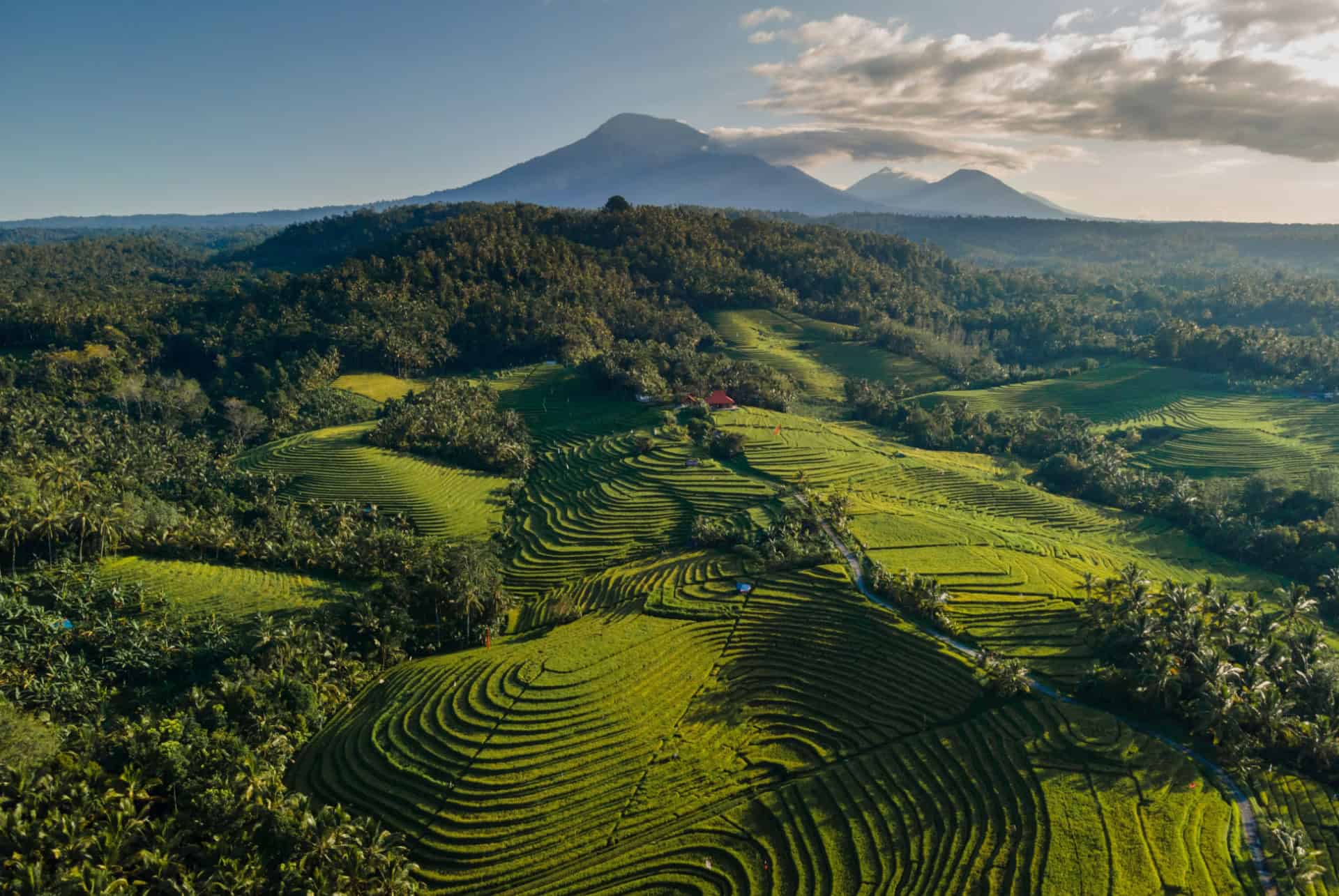 visiter bali en février