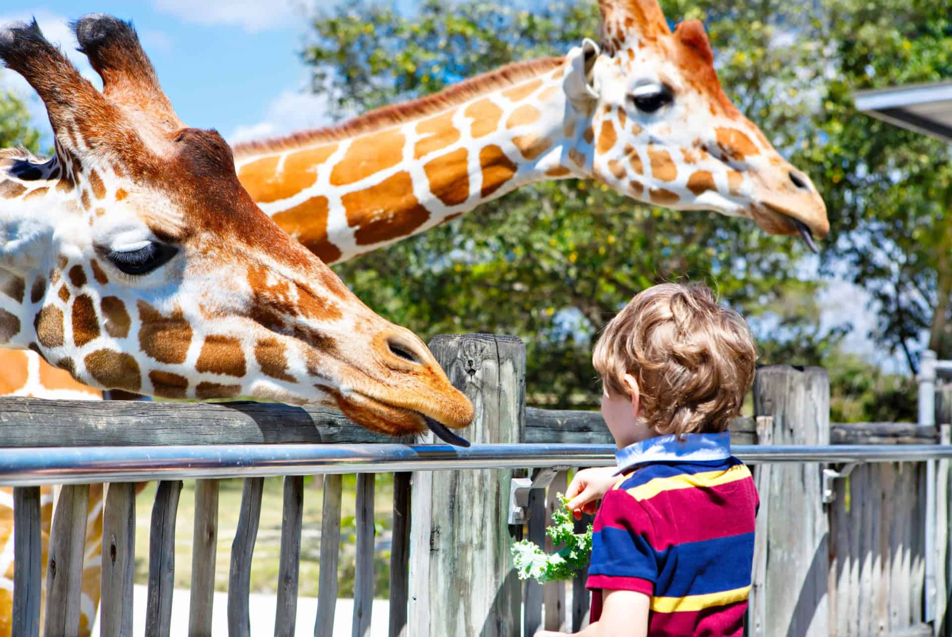 zoo miami en mars