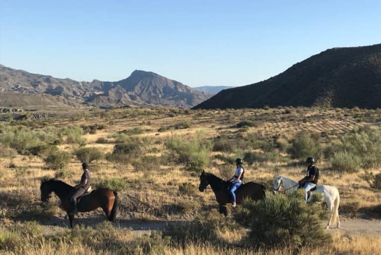 Randonnée à cheval dans le désert de Tabernas