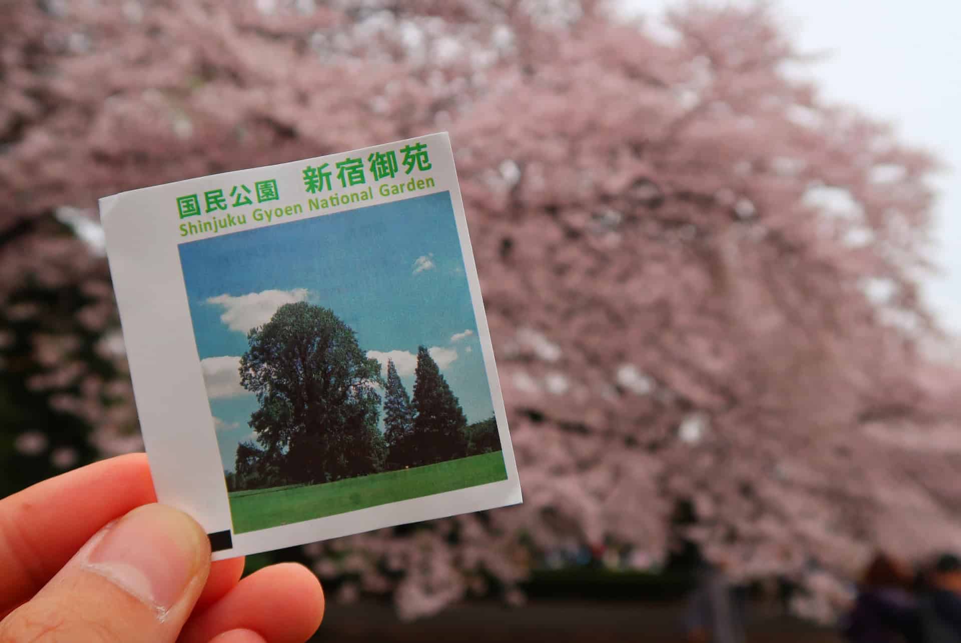 shinjuku gyoen jardin