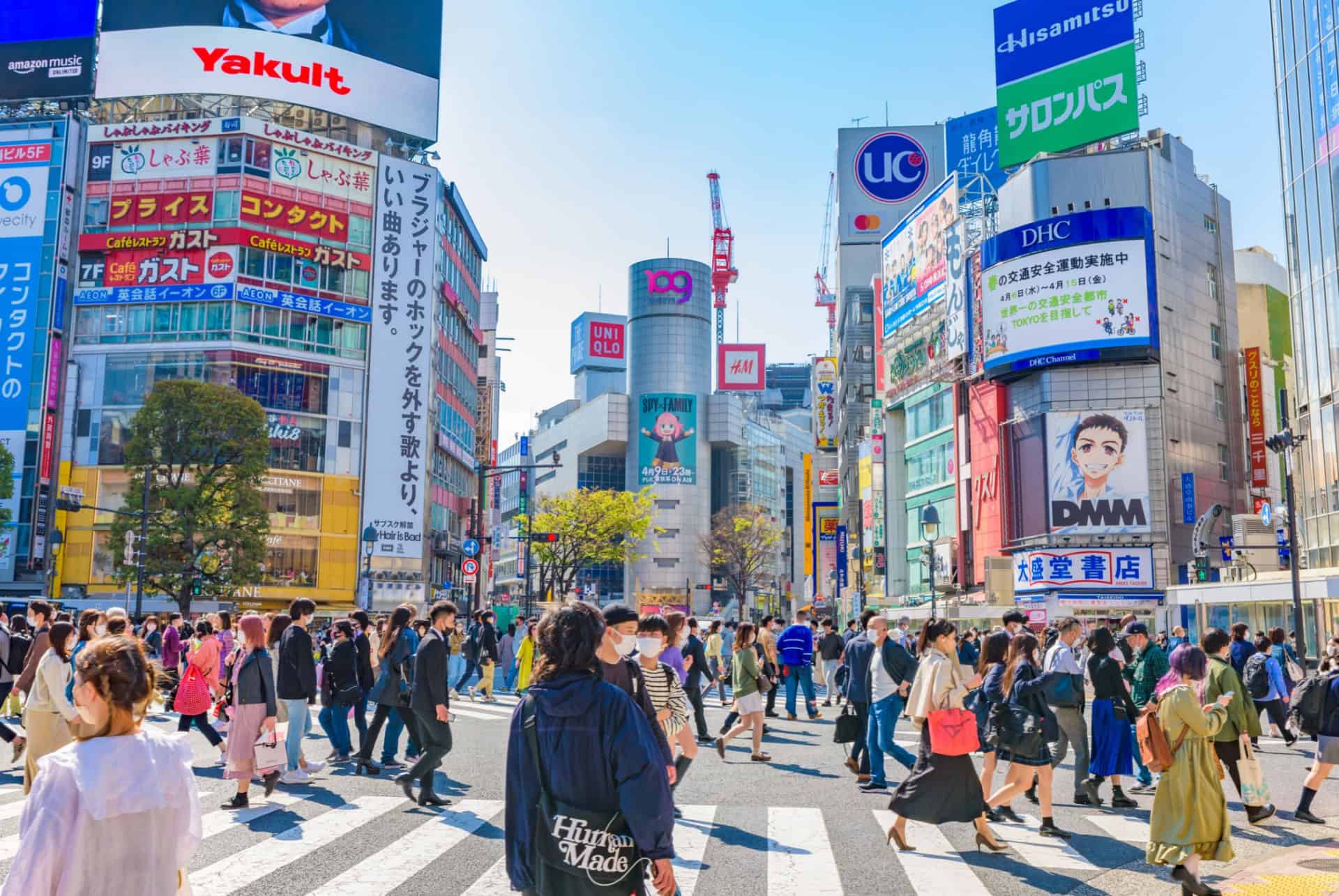 touristes japon avril