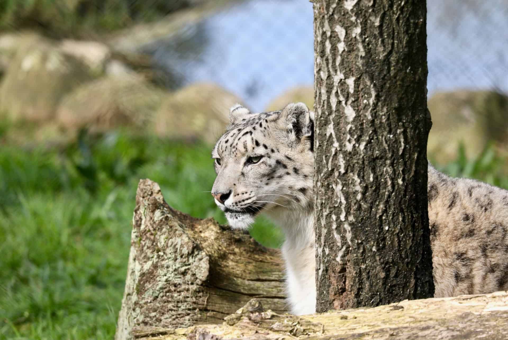 zoo santo inacio porto